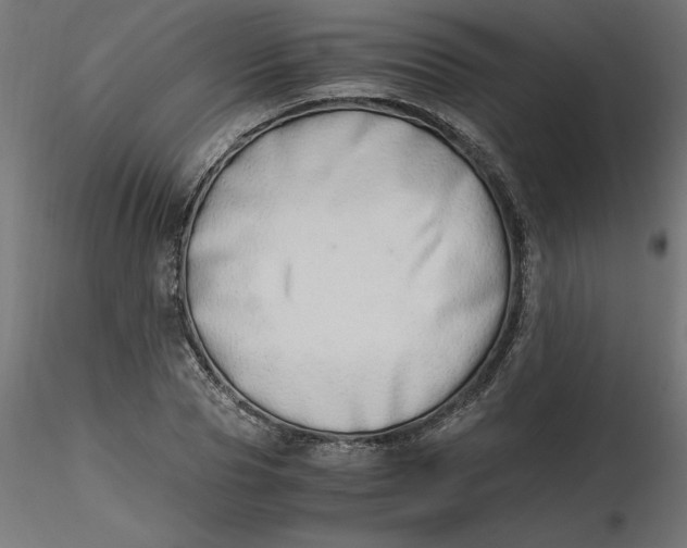 X0000116640929200912291552