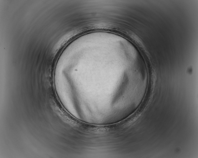 X0000116640930200912291552