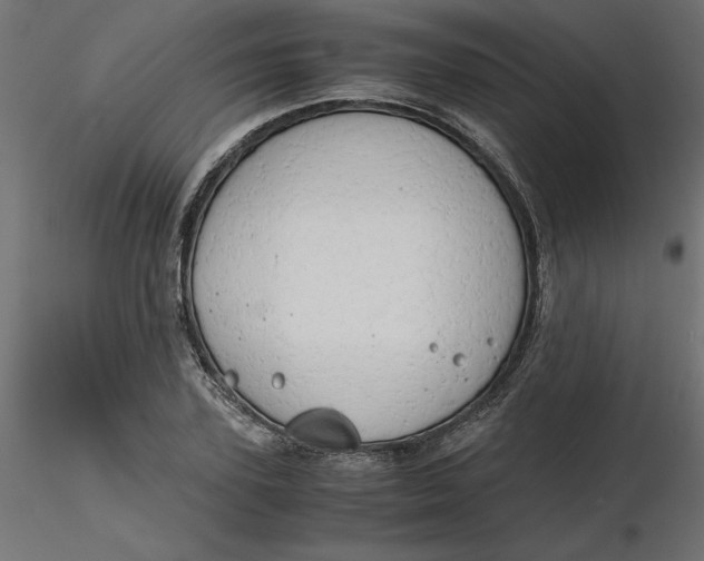 X0000116640931200912291552