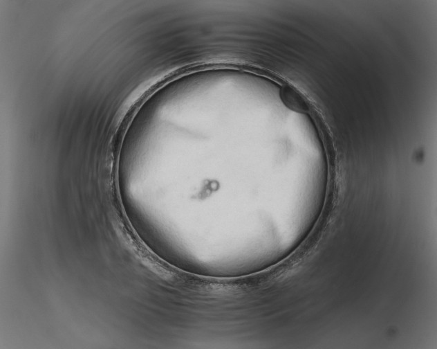 X0000116640933200912291552