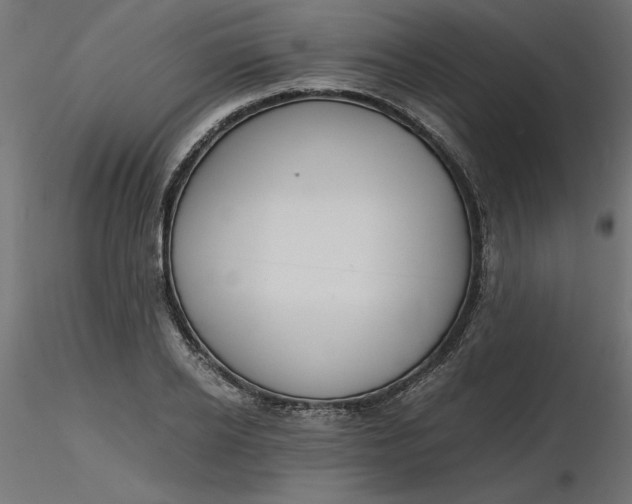 X0000116640934200912291552