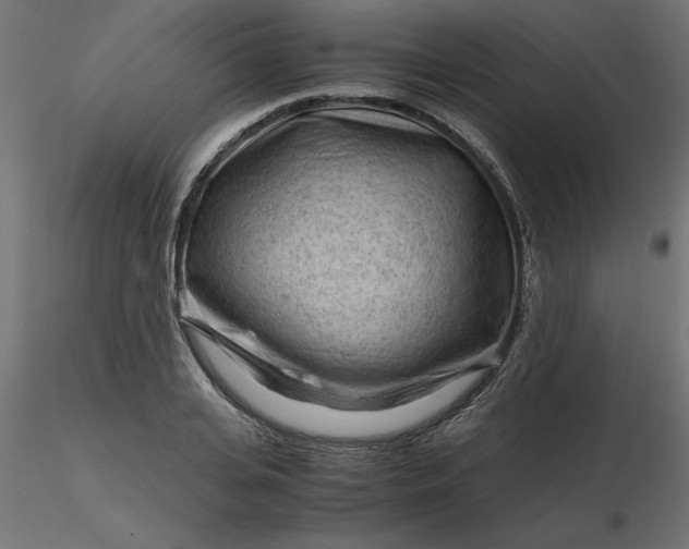 X0000116640935200912291552