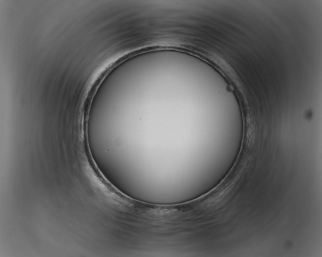 X0000116640939200912291552