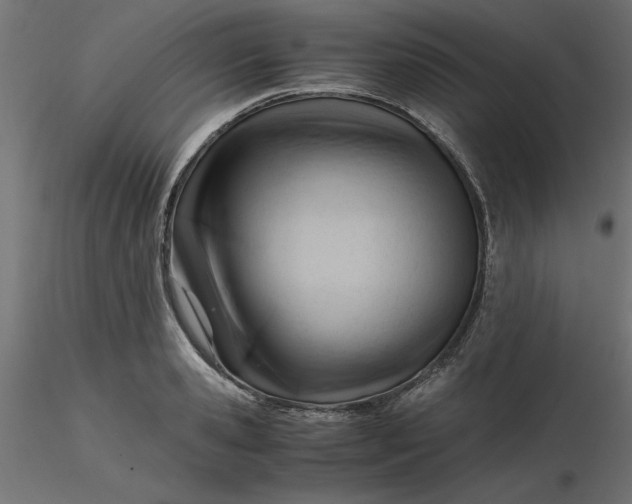 X0000116640941200912291552