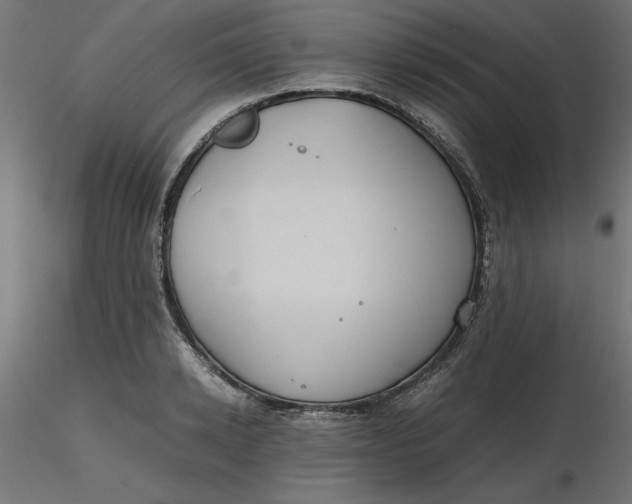 X0000116640942200912291552