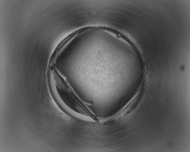 X0000116640943200912291552