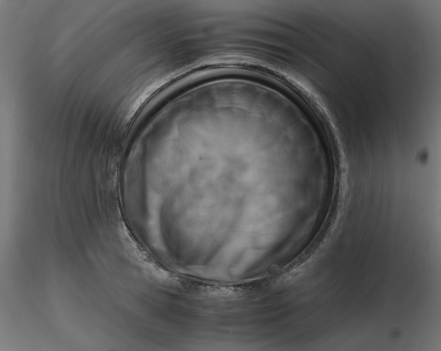 X0000116640945200912291552