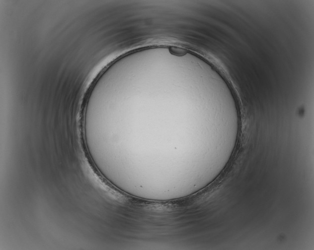 X0000116640947200912291552