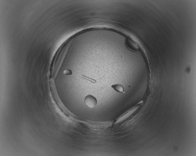 X0000116640951200912291552