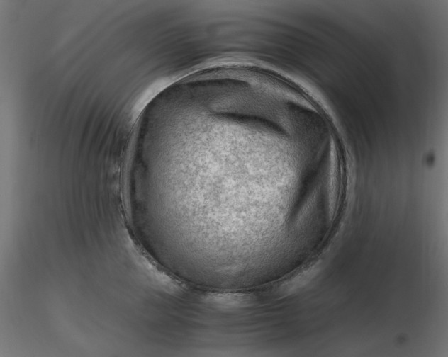 X0000116640953200912291552