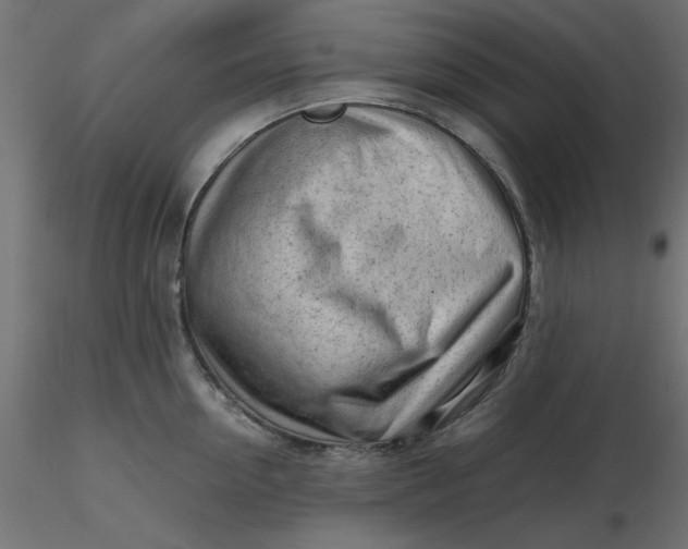 X0000116640954200912291552