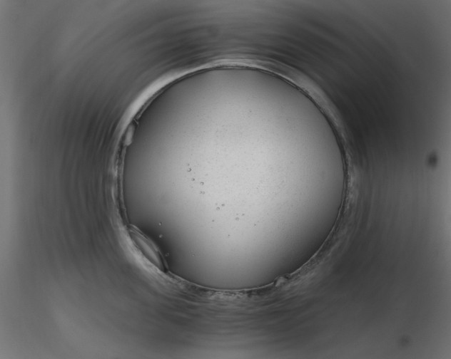 X0000116640955200912291552