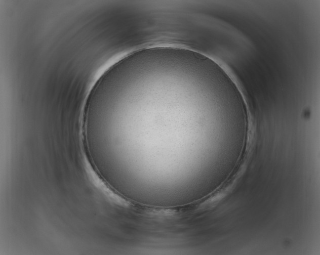 X0000116640957200912291552