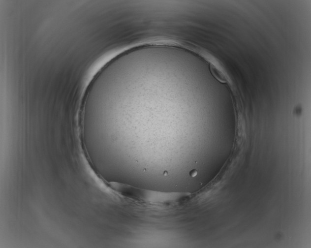 X0000116640959200912291552