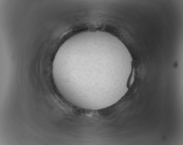 X0000116640961200912291552