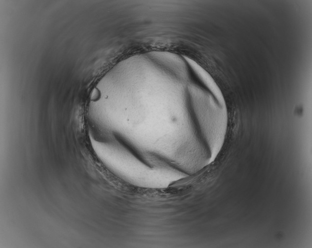 X0000116640962200912291552