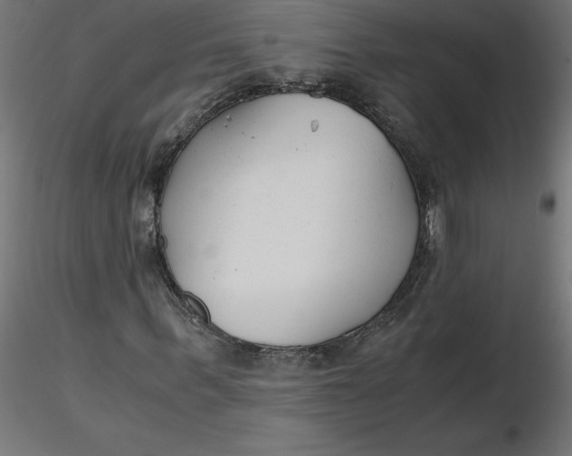 X0000116640963200912291552