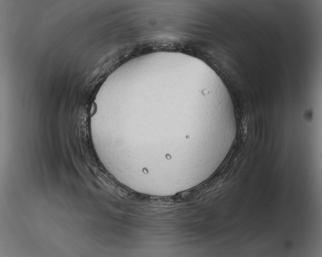 X0000116640964200912291552