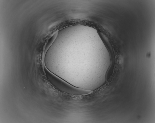 X0000116640965200912291552