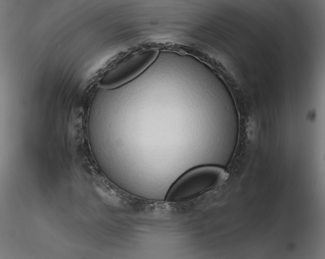 X0000116640968200912291552