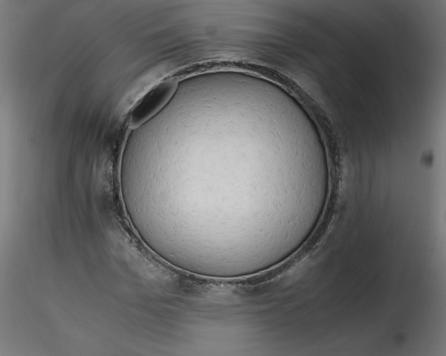 X0000116640969200912291552