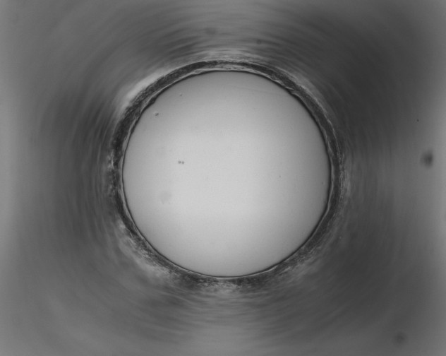 X0000116640971200912291552