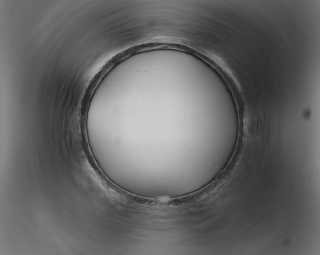 X0000116640972200912291552