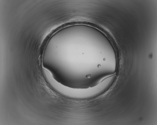 X0000116640973200912291552