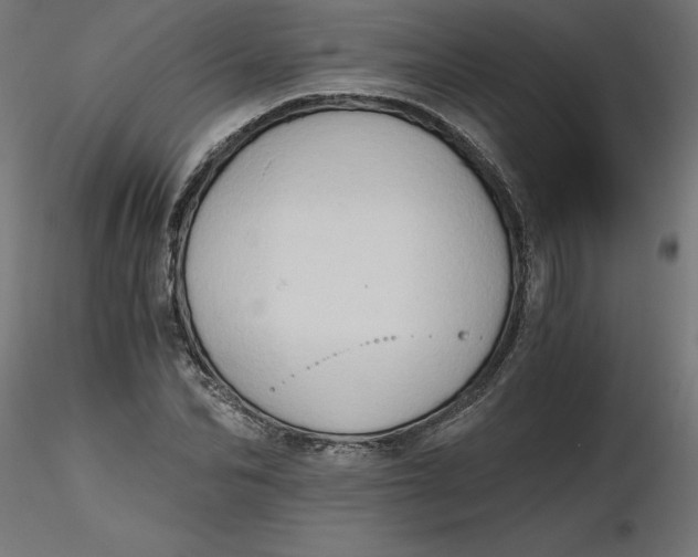 X0000116640974200912291552