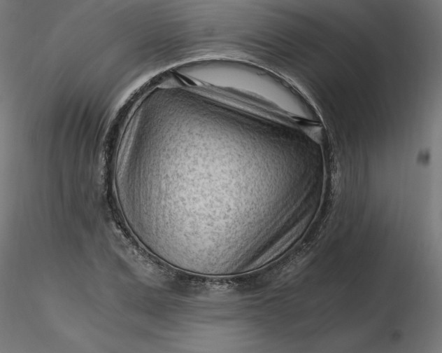 X0000116640975200912291552