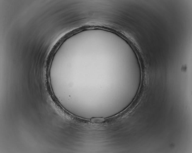 X0000116640976200912291552