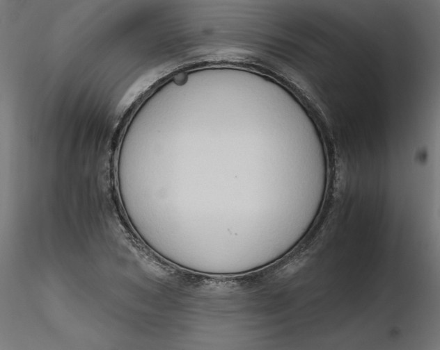 X0000116640978200912291552