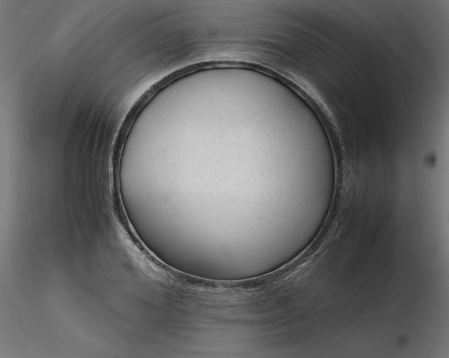 X0000116640980200912291552