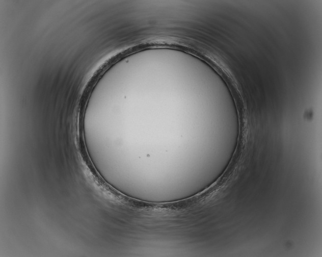 X0000116640984200912291551