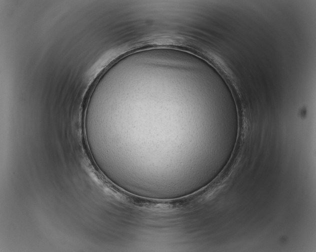 X0000116640986200912291551