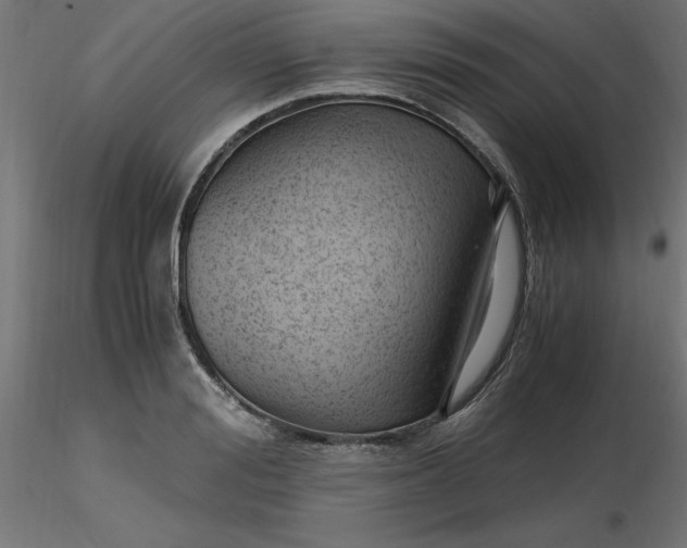 X0000116640988200912291551