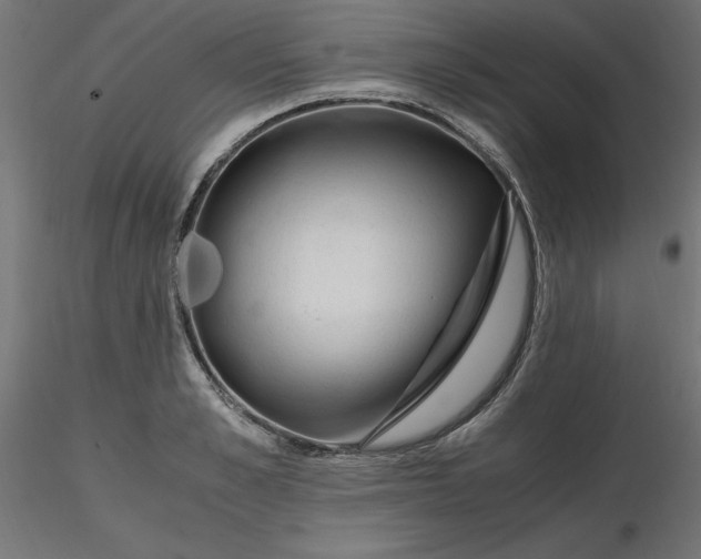 X0000116640989200912291551