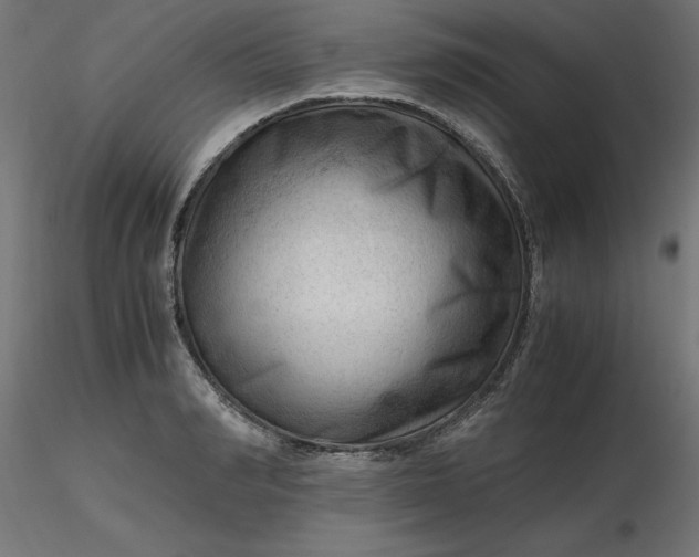 X0000116640990200912291551