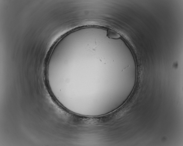 X0000116640991200912291551