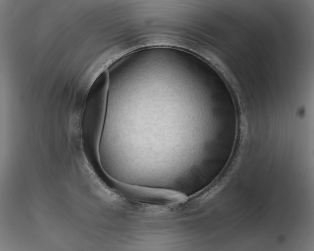 X0000116640993200912291551