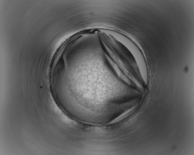 X0000116640995200912291551