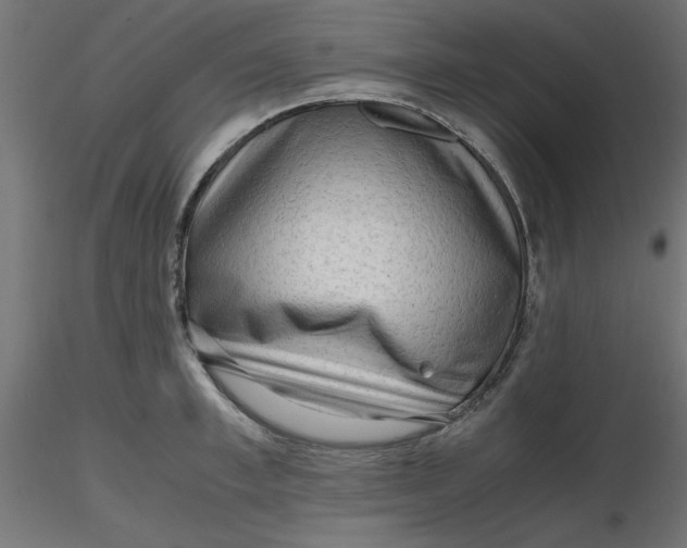 X0000116640997200912291551