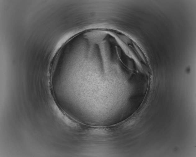 X0000116640998200912291551