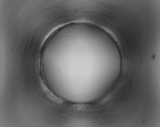 X0000116641000200912291551