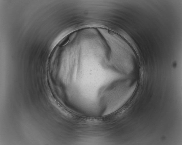 X0000116641002200912291551