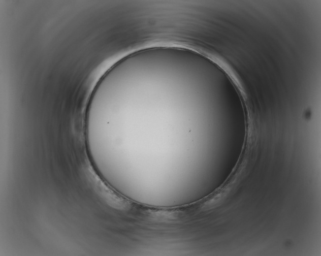 X0000116641004200912291551