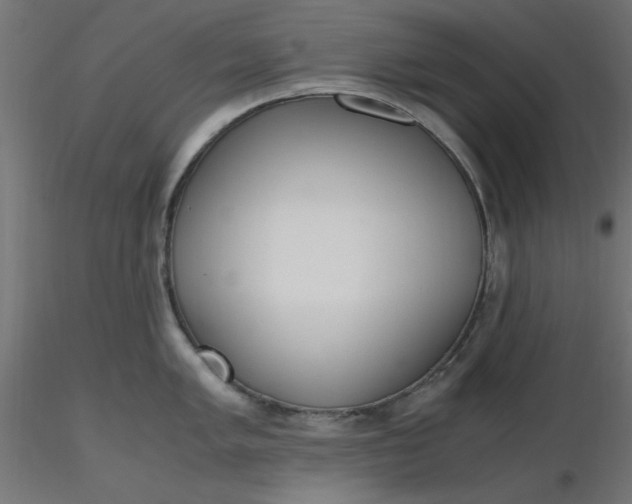 X0000116641005200912291551