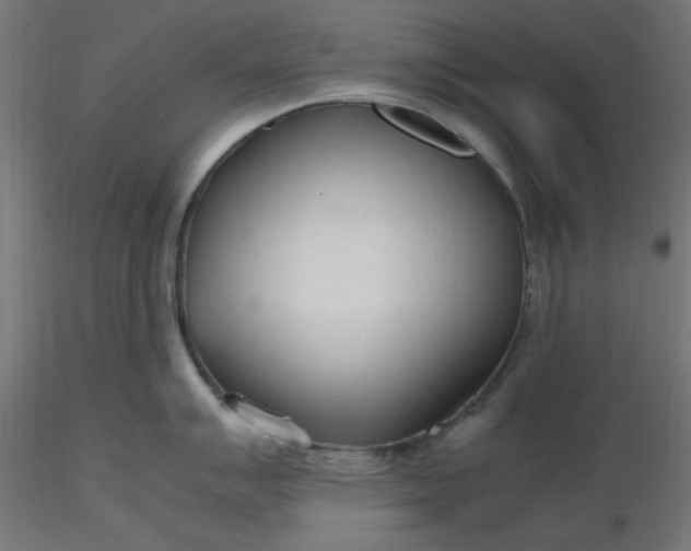 X0000116641007200912291551