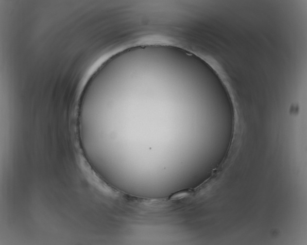 X0000116641008200912291551