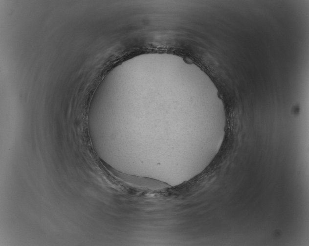 X0000116641009200912291550